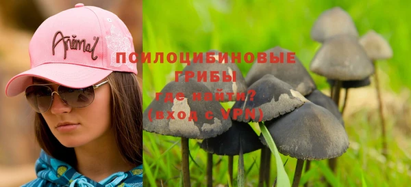 кокс Алзамай