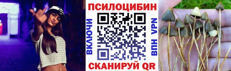 Псилоцибиновые грибы GOLDEN TEACHER  Джанкой 